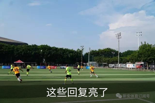 这些回复亮了